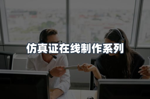 仿真证在线制作